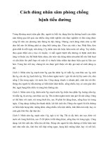 Cách dùng nhân sâm phòng chống bệnh tiểu đường potx