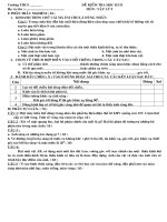 Chuan-DE THI HKII-2010