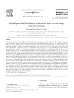 Global potential bioethanol production from wasted crops and crop residues ppt