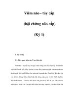 Viêm não - tủy cấp (hội chứng não cấp) (Kỳ 1) pdf