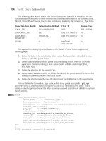 Applied Oracle Security: Developing Secure Database and Middleware Environments- P20 doc
