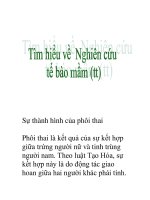 tìm hiểu về nghiên cứu tế bào nầm pptx