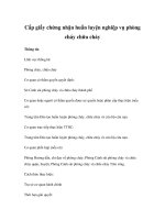 Cấp giấy chứng nhận huấn luyện nghiệp vụ phòng cháy chữa cháy pptx