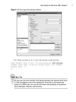 The Real MTCS SQL Server 2008 Exam 70/432 Prep Kit- P6 docx