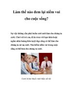 Làm thế nào đem lại niềm vui cho cuộc sống? docx