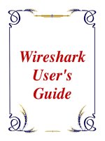 wireshark user''''s guide