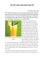 Tự chế nước giải khát mùa hè ppsx