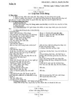 Giao an Lop 5 tuan 34