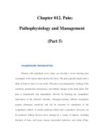 Chapter 012. Pain: Pathophysiology and Management (Part 5) pps