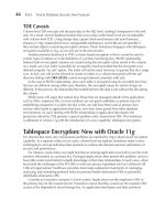 Applied Oracle Security: Developing Secure Database and Middleware Environments- P8 doc