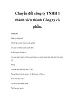Chuyển đổi công ty TNHH 1 thành viên thành Công ty cổ phần potx