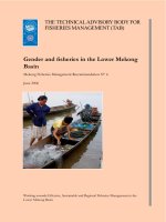Gender and fisheries in the Lower Mekong Basin ppt