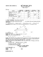 DE THI HOC KY II + DAP AN