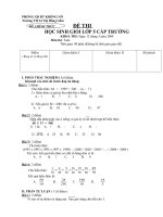 ĐỀ THI HSG LỚP 5 CẤP TRƯỜNG NĂM HỌC 2009-2010