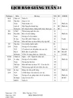 GIAO AN LOP 4 ( TUAN 31-CKTM,BVMT)