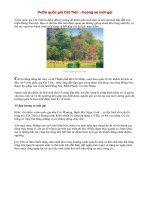 Vườn quốc gia Cát Tiên - hoang sơ mời gọi