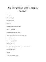 Cấp Giấy phép đào tạo lái xe hạng A1, A2, A3, A4 pptx