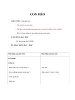 Tự nhiên xã hội lớp 1 - CON MÈO potx