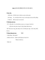 Bài 7: XÉ, DÁN HÌNH CON GÀ CON (tiết 1) potx