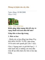 Phòng trị bệnh cho cây tiêu doc