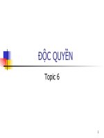 Topic 6: Độc quyền doc