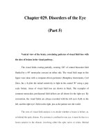 Chapter 029. Disorders of the Eye (Part 5) pps