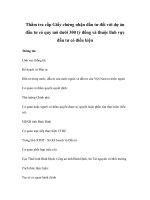 Thẩm tra cấp Giấy chứng nhận đầu tư đối với dự án đầu tư có quy mô dưới 300 tỷ đồng và thuộc lĩnh vực đầu tư có điều kiện potx