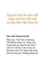 Nguyên liệu cho sản xuất xăng sinh học: Ðề xuất từ thực tiễn Việt Nam ppt
