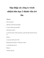 Sáp nhập các công ty trách nhiệm hữu hạn 2 thành viên trở lên docx