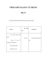 VIÊM LOÉT DẠ DÀY TÁ TRÀNG (Kỳ 3) pps