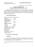 BCTC DAI HOI CHI BO TAN HA I