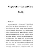 Chapter 046. Sodium and Water (Part 2) potx