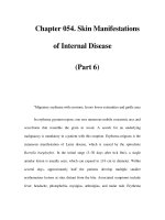 Chapter 054. Skin Manifestations of Internal Disease (Part 6) doc