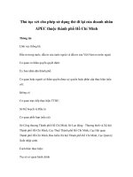 Thủ tục xét cho phép sử dụng thẻ đi lại của doanh nhân APEC thuộc thành phố Hồ Chí Minh pptx