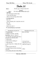 Giáo án MT Tuần 31 CKTKN CT2buoi/ngày