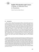 The Analysis of Firms and Employees Part 8 pps