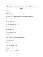 Cấp giấy phép tạm sử dụng lề đường phục vụ kinh doanh dịch vụ, buôn bán hàng hóa pdf