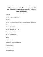 Cấp giấy phép cho hoạt động nổ mìn và các hoạt động gây nổ không gây tác hại khác trong phạm vi bảo vệ công trình thủy lợi pptx