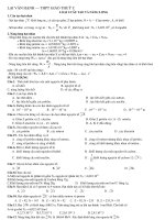 cac loai hat nhan rat hay