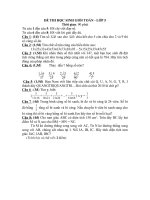 Đê thi học sinh giỏi toán-lớp 5