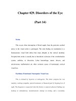 Chapter 029. Disorders of the Eye (Part 14) pps