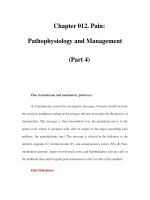 Chapter 012. Pain: Pathophysiology and Management (Part 4) pot