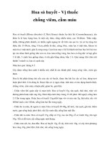 Hoa sò huyết - Vị thuốc chống viêm, cầm máu pps