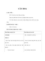 Tự nhiên xã hội lớp 1 - CÂY HOA doc