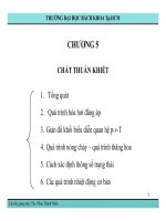 CHƯƠNG 5: CHẤT THUẦN KHIẾT pot