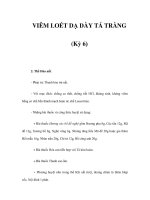 VIÊM LOÉT DẠ DÀY TÁ TRÀNG (Kỳ 6) pot