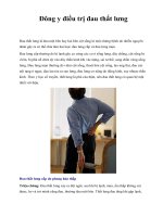 Đông y điều trị đau thắt lưng docx