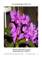 ÔN TẬP HÌNH HỌC 7 HỌC KỲ II.