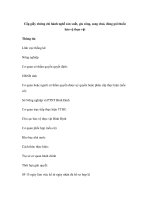 Cấp giấy chứng chỉ hành nghề sản xuất, gia công, sang chai, đóng gói thuốc bảo vệ thực vật pdf