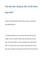 Tại sao các công ty cần có tổ chức quy mô? pot